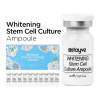 Stayve Whitening Stem Cell Culture Ampoule with niacinamide.